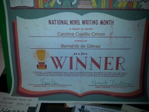 Winning NaNoWriMo