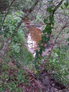 Muddy Creek bath