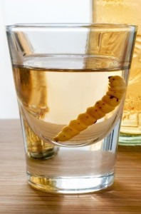 Worm in Mezcal